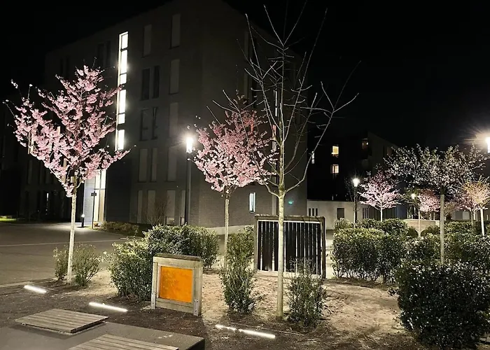 King Bed - Full Kitchen - Balcony
